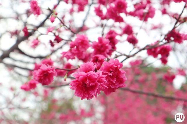 v2-f2479a616b9d95cce8e527097757bfbf_r.jpg