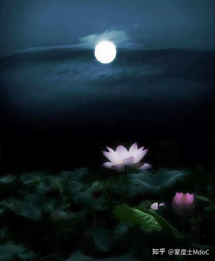 中秋佳节 “月”来“月”想家 - 知乎