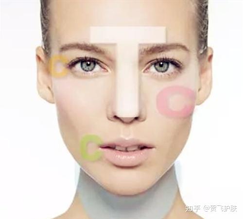 面部不同区域有不同的皮肤类型
