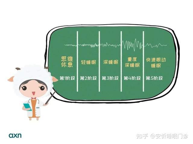 R90睡眠法，极简快睡指南！ - 知乎