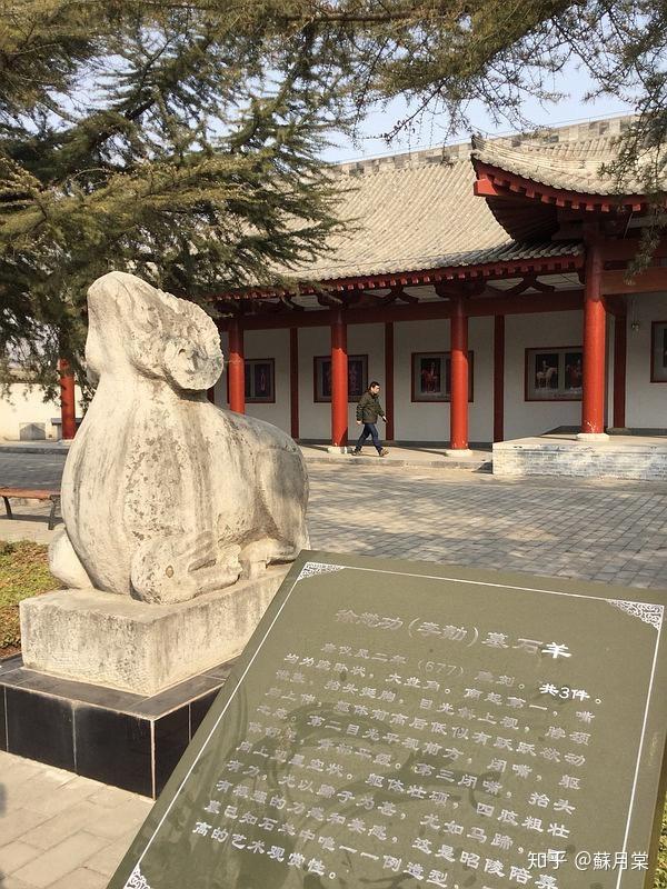 昭陵博物館館藏相較其他唐代收藏博物館有何獨特之處