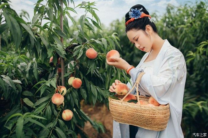 他的桃子仙女图片