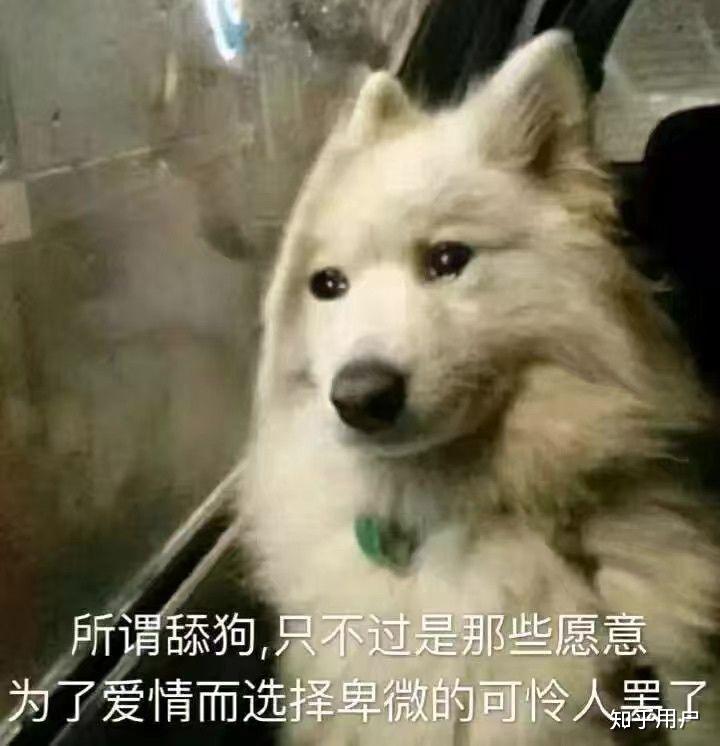 v2-f267273454d73ee7248126dd8b2d92f3_r.jpg