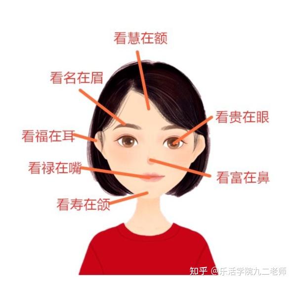 中国式人相学入門 周易 相学入門 中国占い 中国古典文学 中国語版書籍&frasl;周易相学入\u0026#38376