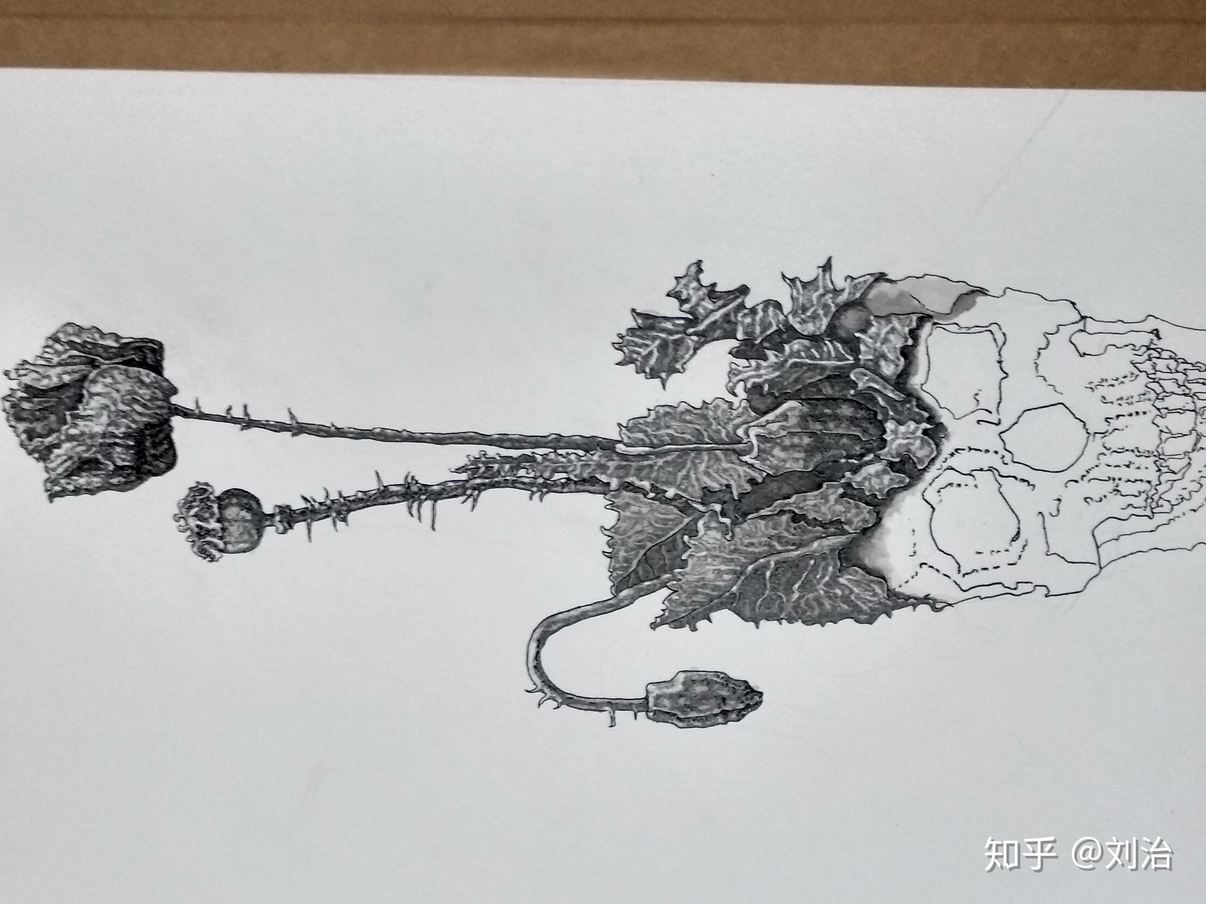 刘毒带你聊艺术7如何刻画复杂的细节