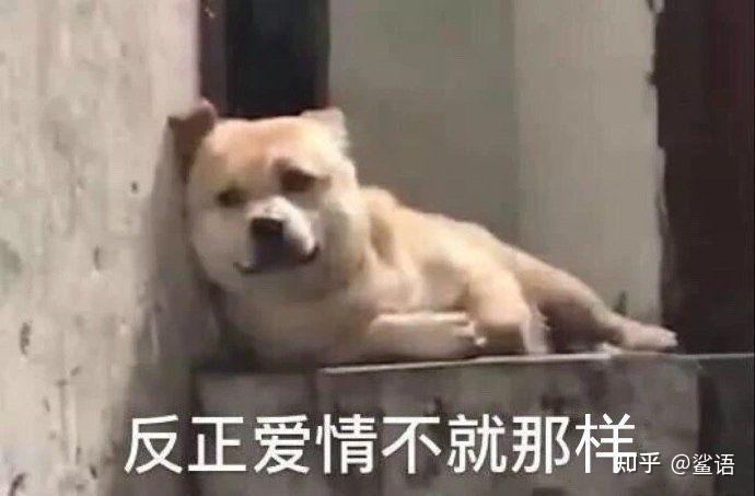 爱恋文案沙雕,爱恋文案沙雕句子