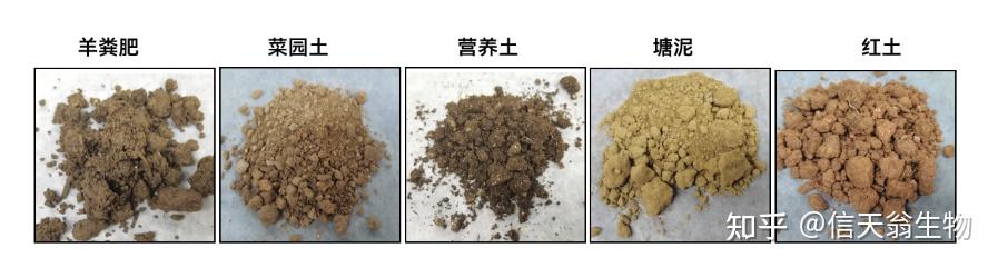 如何从复杂环境样本中获得高纯度DNA?土壤/粪便DNA提取中的关键技术解析 - 知乎