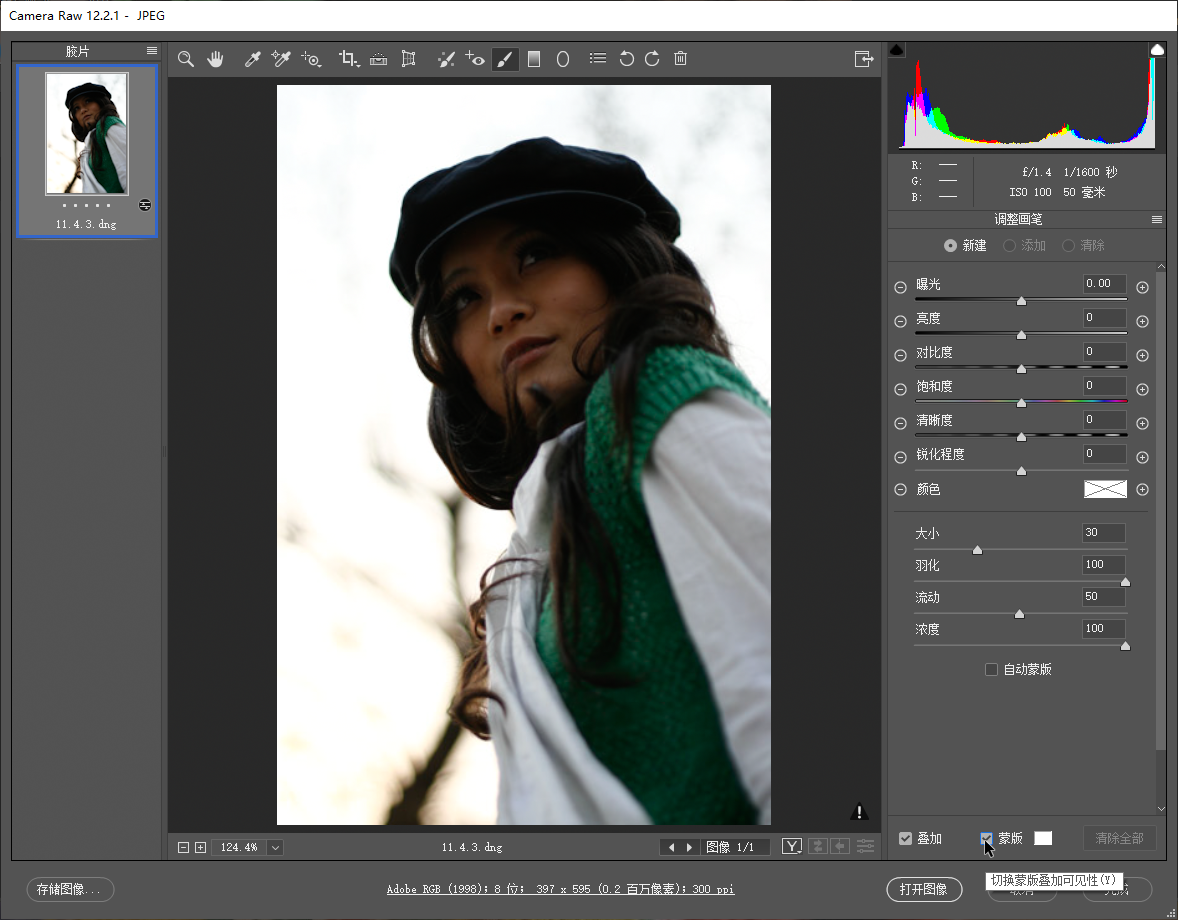 3分钟看懂 照片高级处理工具camera raw实例:用调整画笔修改局部曝光