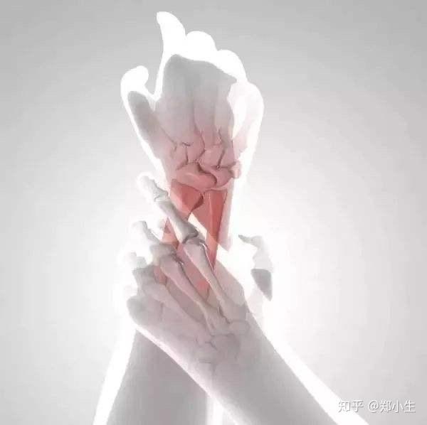 v2-f2873f9d16f7e614f48f80e2a95b9de7_r.jpg