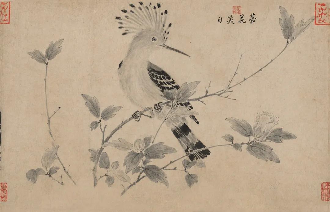 石渠宝笈名迹丨宋徽宗写生珍禽图
