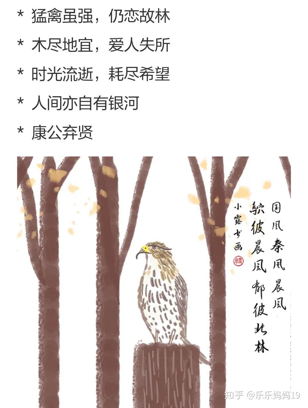 诗经秦风晨风