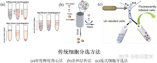 细胞分选原理及应用,几种方法该如何选择? - 知乎