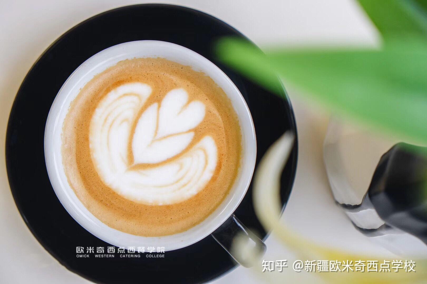 2019新疆欧米奇春季火爆招生季