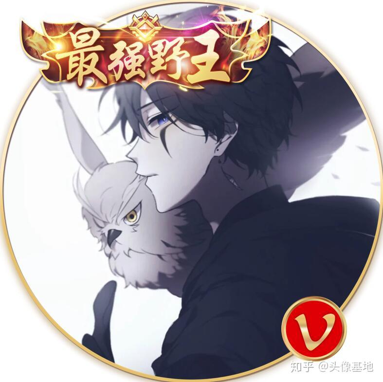 王者荣耀加v头像