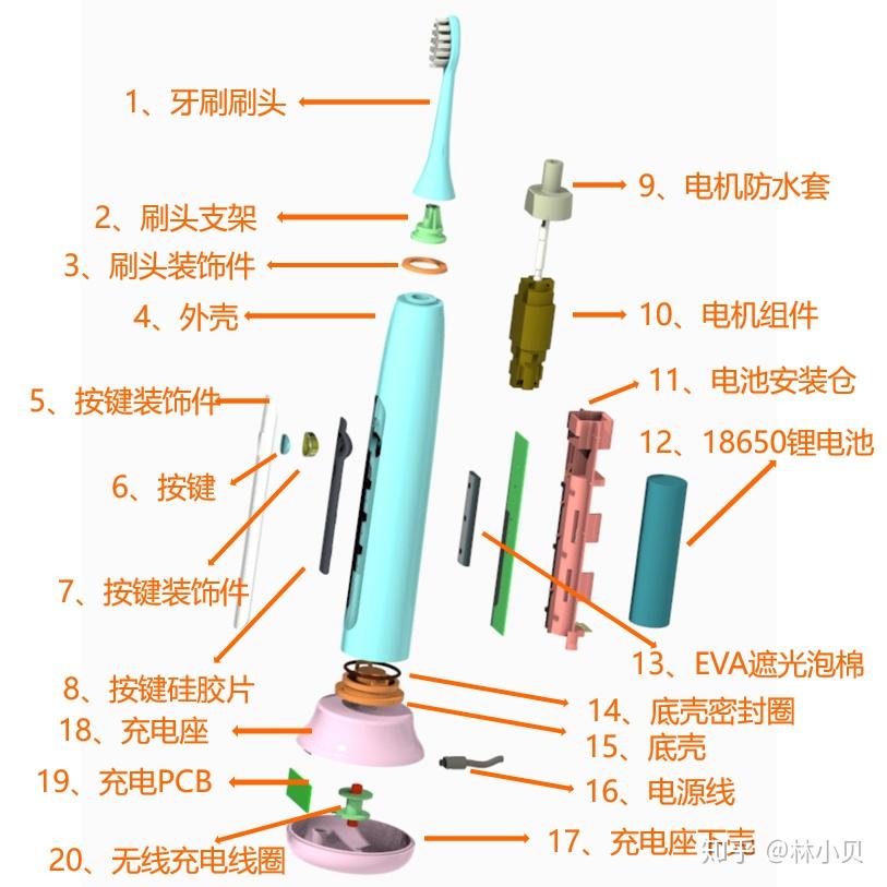 电动牙刷拆解