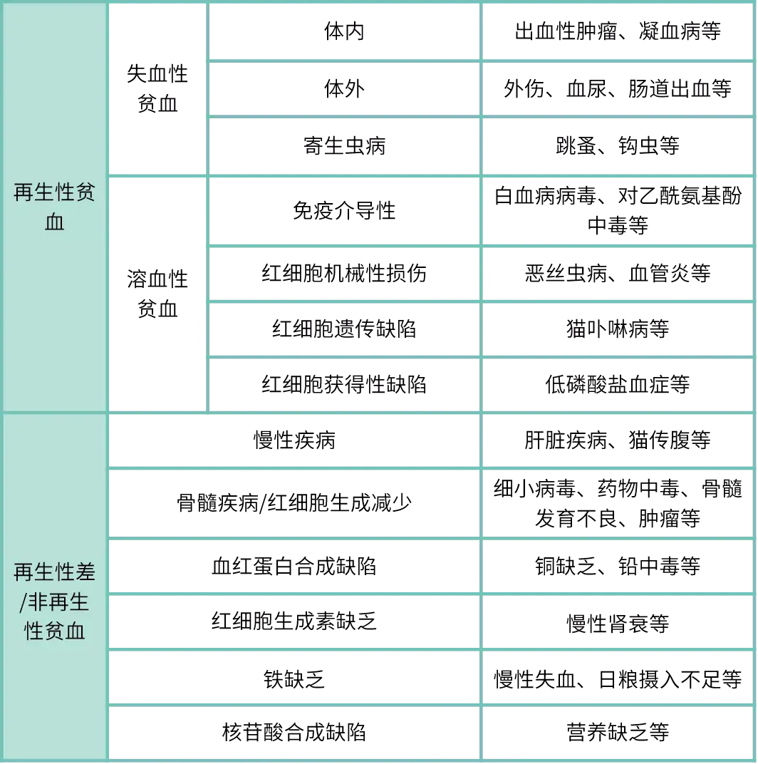 三,常见的贫血原因