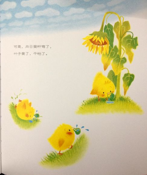 《小鸡球球和向日葵》小鸡球球在山丘上发现了一颗看起来很好吃的种子