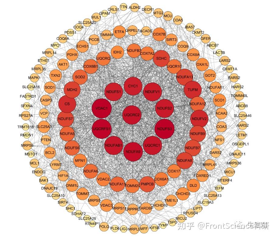 【手把手教你】Cytoscape—基因互作网络图的保姆级讲解 - 知乎