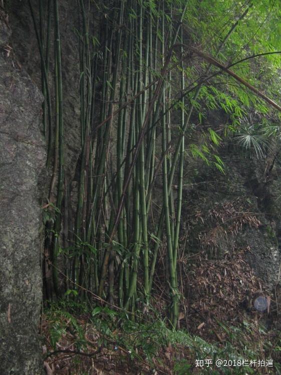 电视剧《西游记》外景地:安县-罗浮山(下)