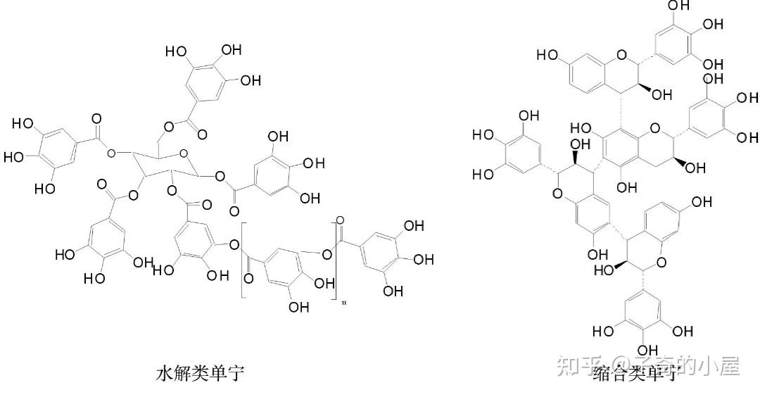 缩合单宁和水解单宁有什么不同? - 知乎