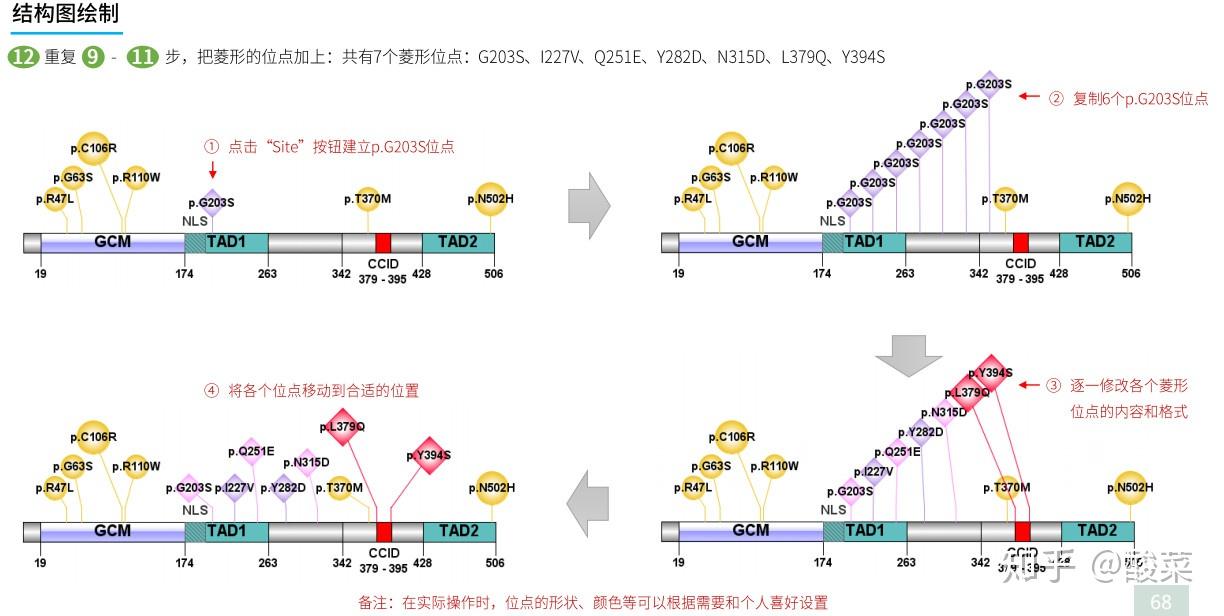 傻瓜式图文教程：genecards基因信息检索与分析、基因结构图绘制 知乎 