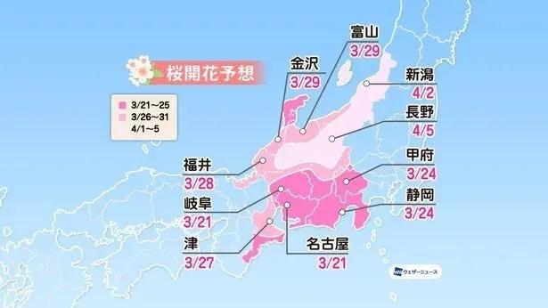 2021年日本櫻花前線預測發佈又到春暖花開時讓我們相約雲賞櫻