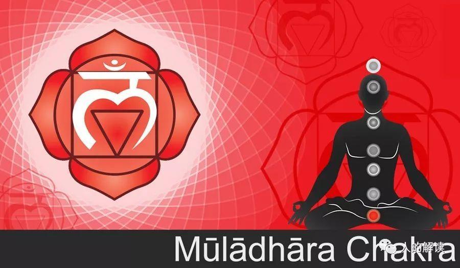第一脉轮也被称为海底轮,梵文名是muladhara,意思是"根部的支持",所以