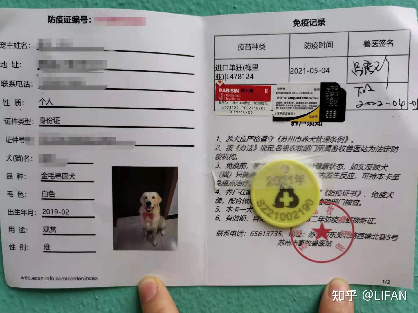 刚出生的小狗摄影图__生活素材_生活百科_摄影图库_昵图网nipic.com