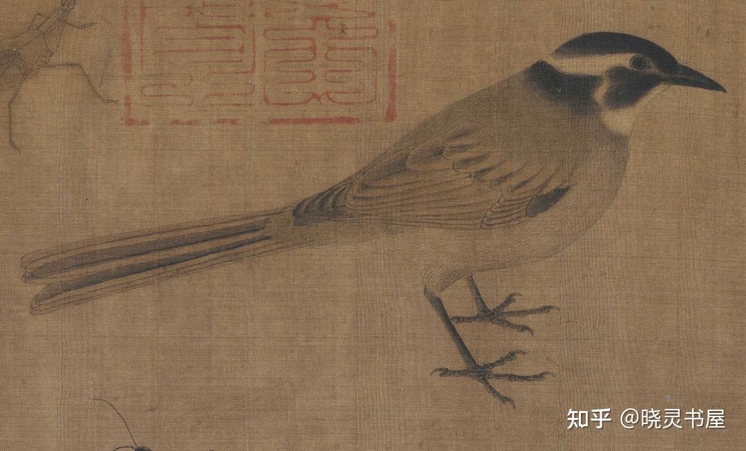 五代黄筌 | 《写生珍禽图》卷 - 知乎