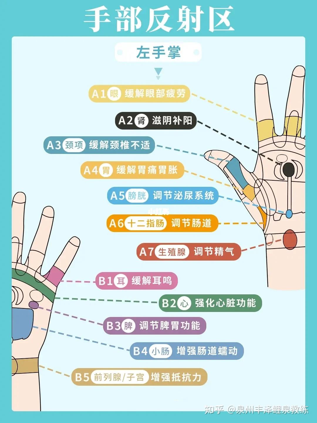 手部反射区按摩指南：6图掌握 - 知乎