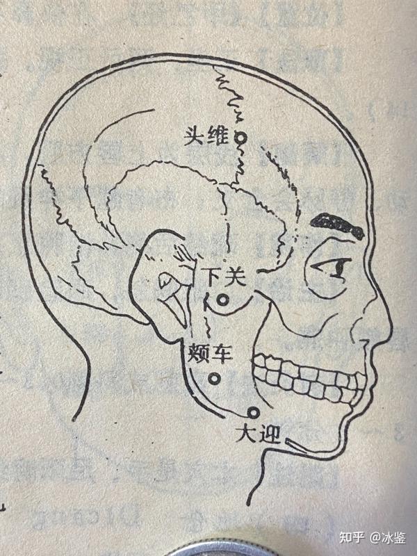 玉虚玄学风水课程,玉虚玄针十四经经穴,足阳明胃经经穴! - 知乎