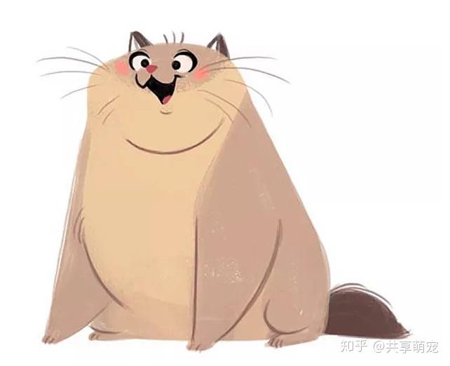 怎样能看出高冷的猫主子已对你臣服 - 知乎