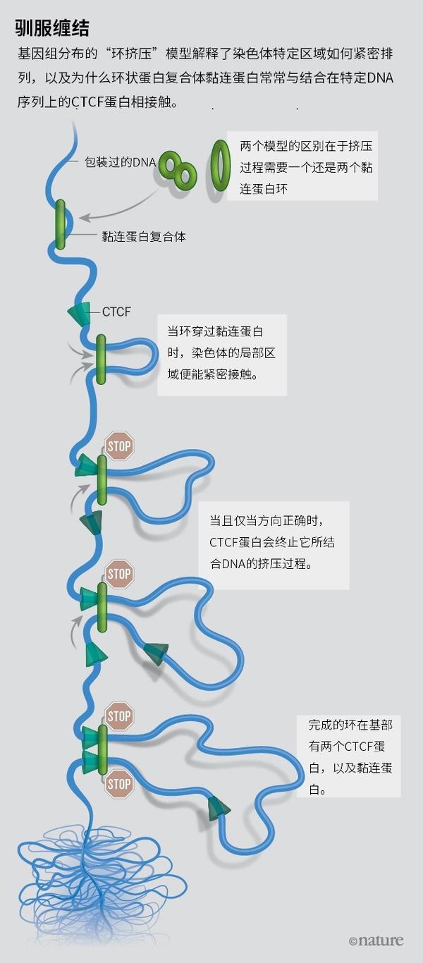 知乎专栏