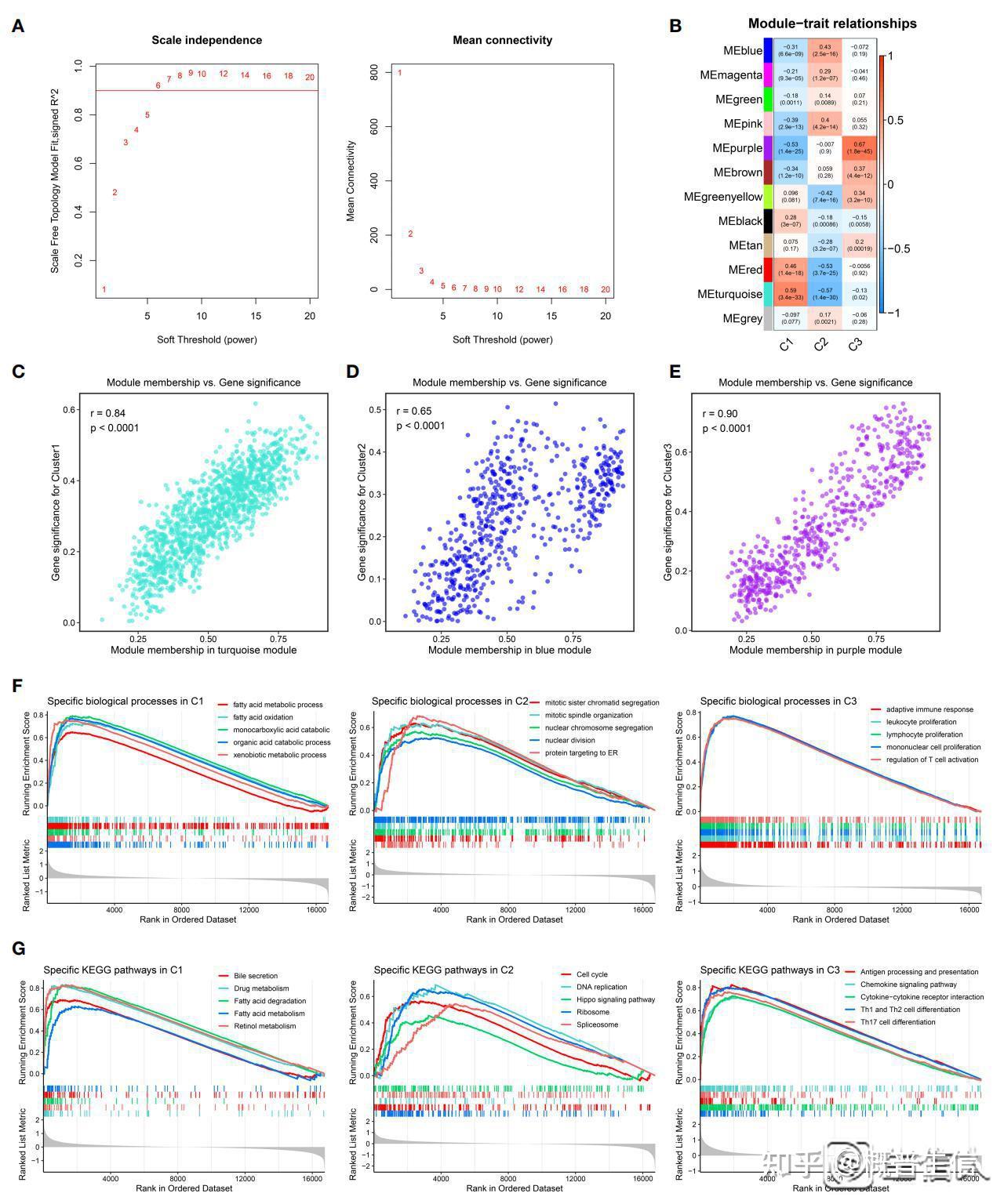 单细胞轨迹亚型解码肿瘤的异质性 - 知乎