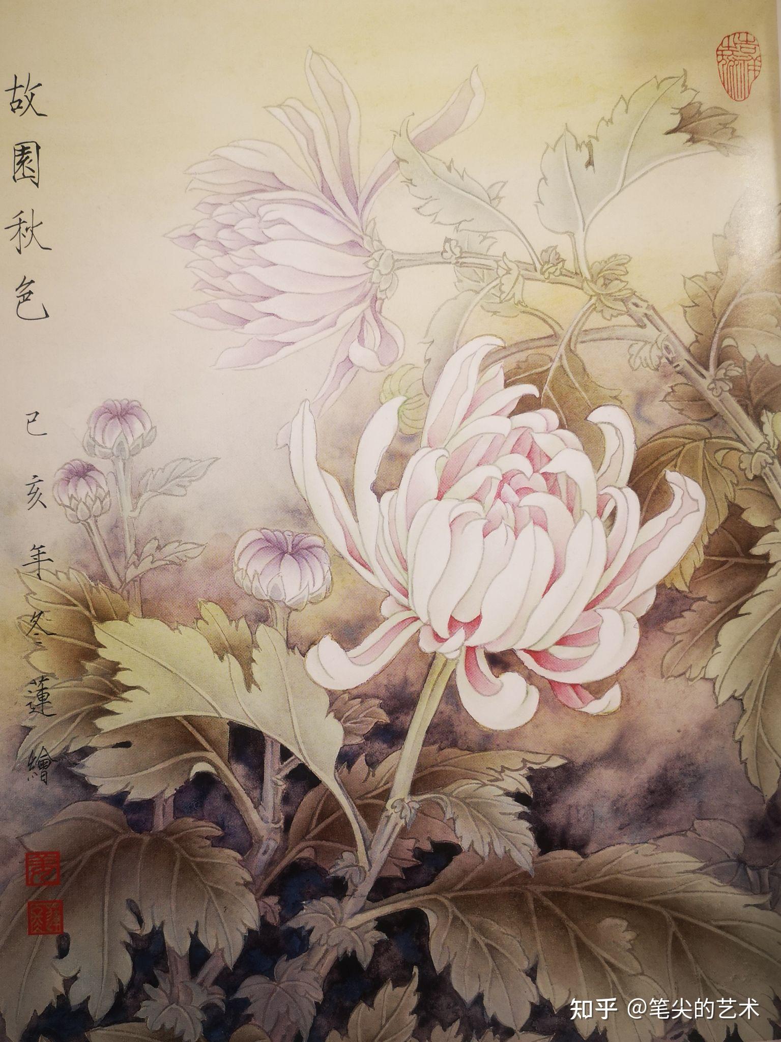 浅谈工笔竹子与菊花区别