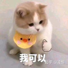 v2-f3b9c0fc6c7b71ef38b37436d857c9b7_b.jpg