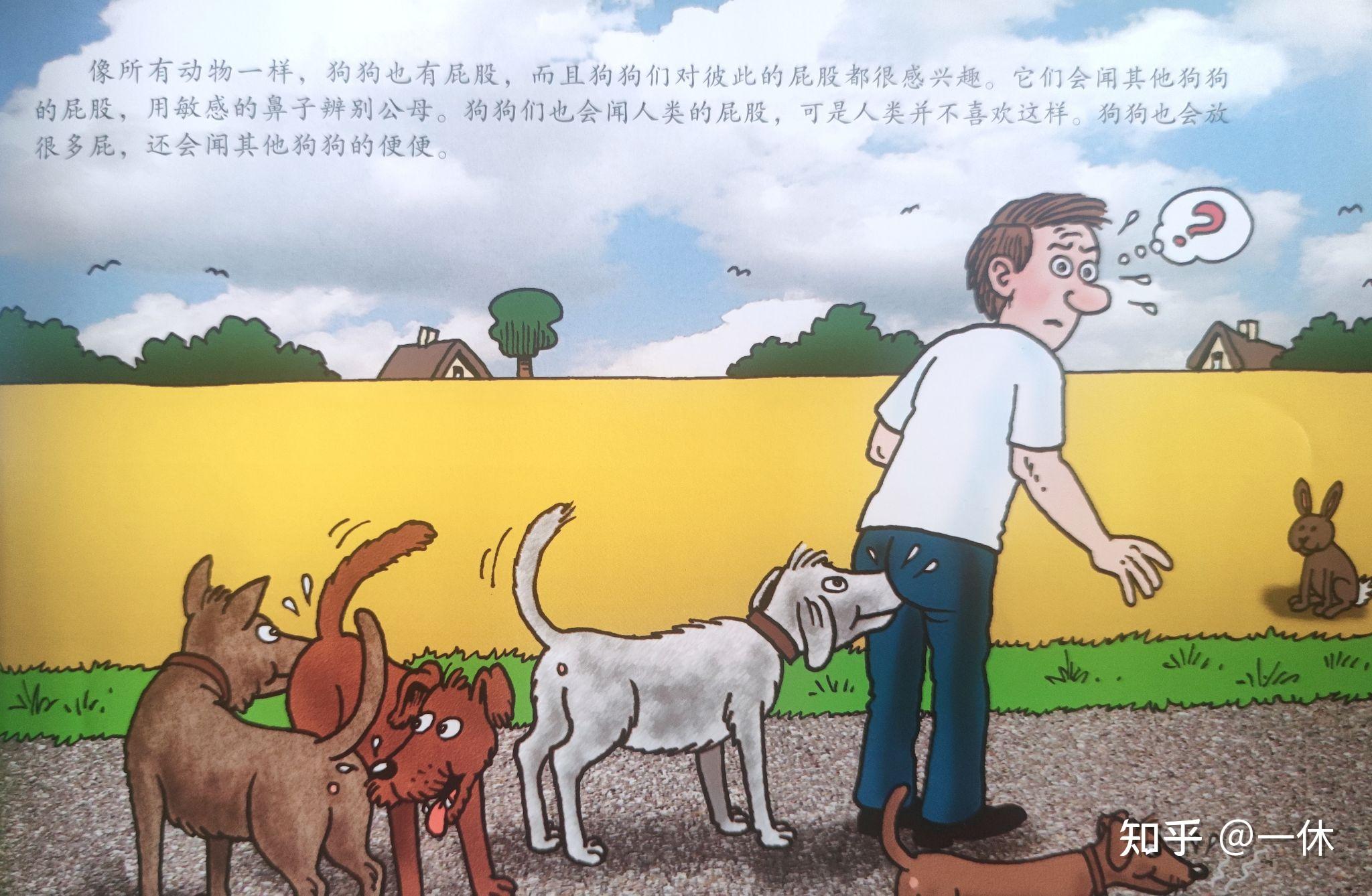 绘本呀屁股关于屎尿屁这件事