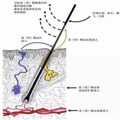 v2-f3ca5d2f1059acaadb0d043616fa0a9f_r.jpg