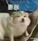 荣耀战力最低的省市