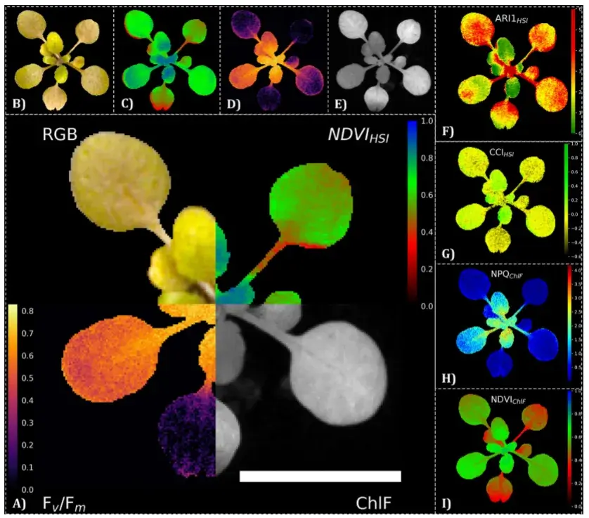 RGB、高光谱和叶绿素荧光成像数据的自动图像配准 - 知乎