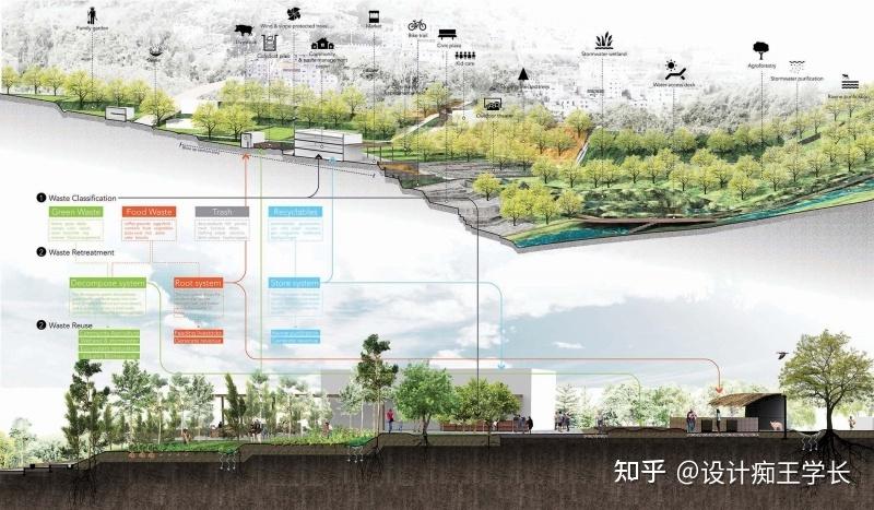 设计留学 | 植物分析与植物表现，都有哪些常见的形式？ - 知乎