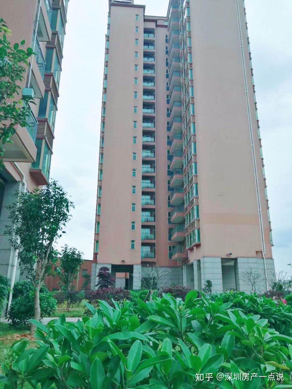 父母买房路，惠州商品房与坪山村委统建楼该怎么抉择 - 知乎