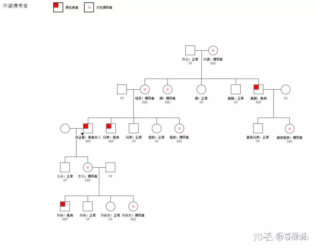 肯尼迪病專欄4肯尼迪病遺傳規律詳解