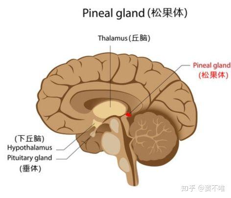 由盘古神话到人类起源之谜的猜想 十一 上帝的秘密 贤者之石与赤县神州 知乎