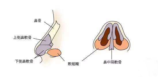 首大陈潜鼻中隔偏曲手术矫正方法了解一下