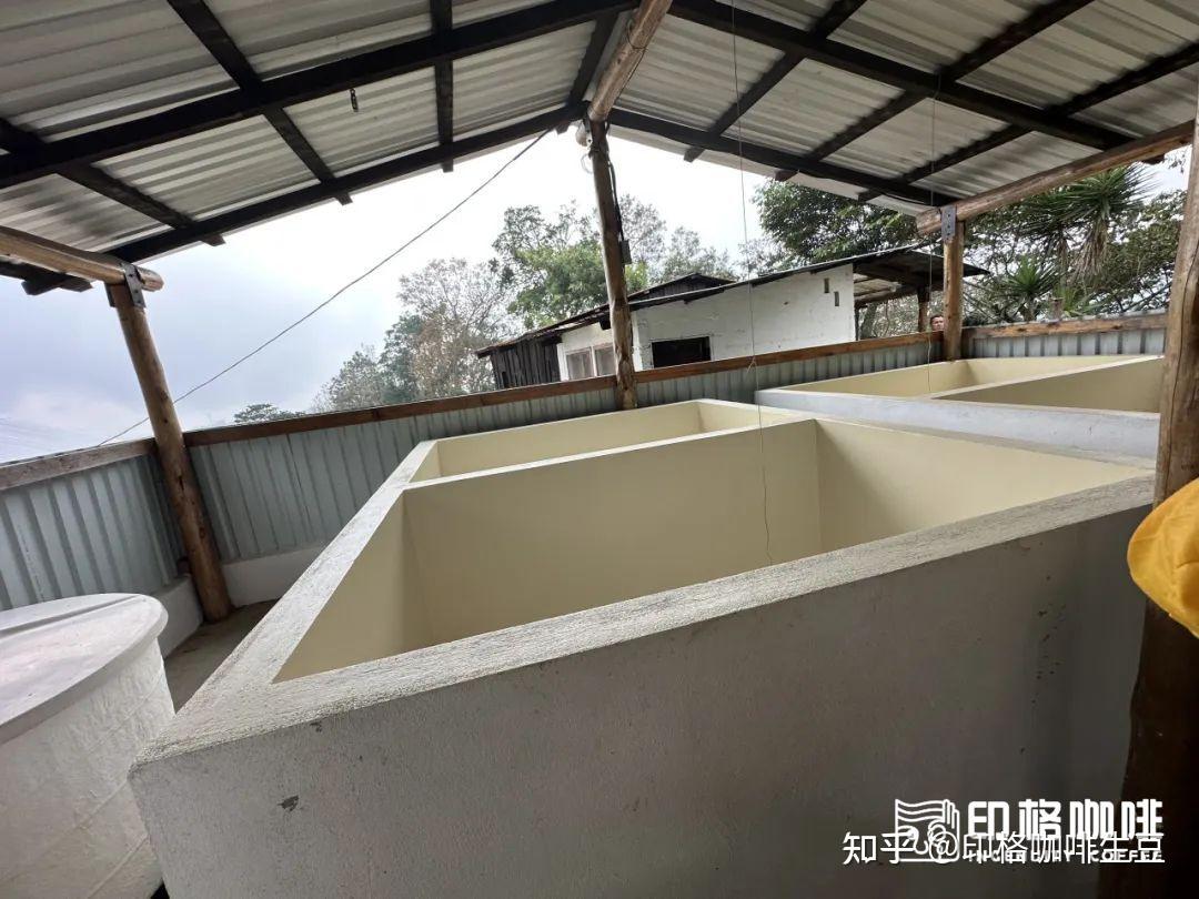 新产区计划上新|2座世界名庄与CoE获奖庄园新鲜到港,呈现豆单盛宴 - 知乎