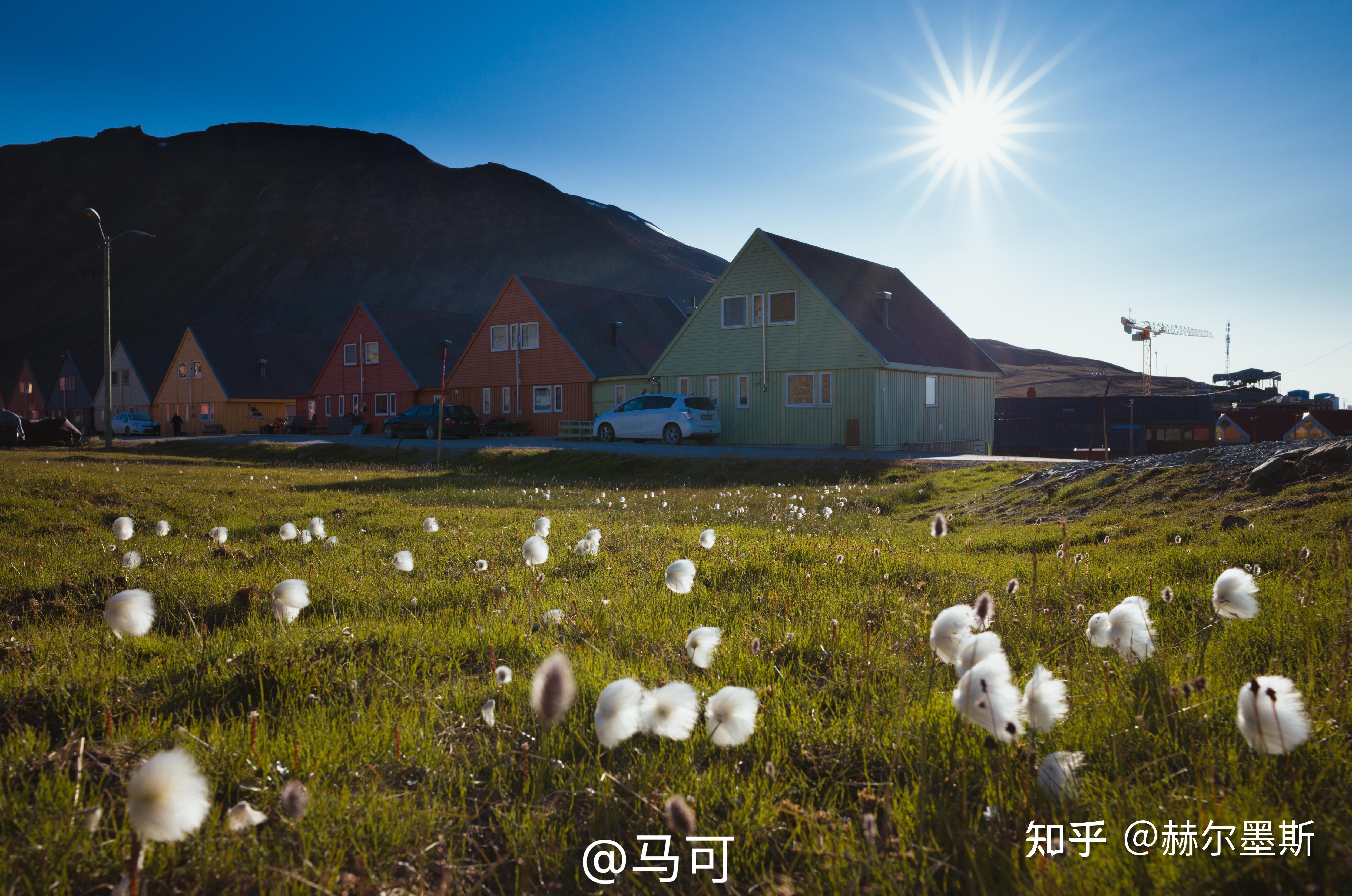 🏔连载 1:我亲身去北极!这份穿越冰雪的体验我要和你分享! - 知乎