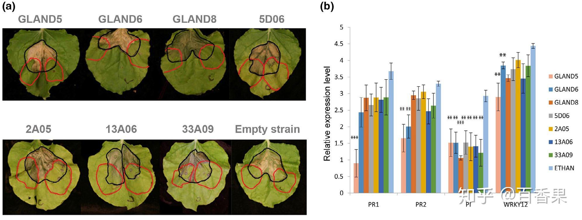 molecularplantpathology大豆胞囊線蟲抑制植物免疫的效應子篩選