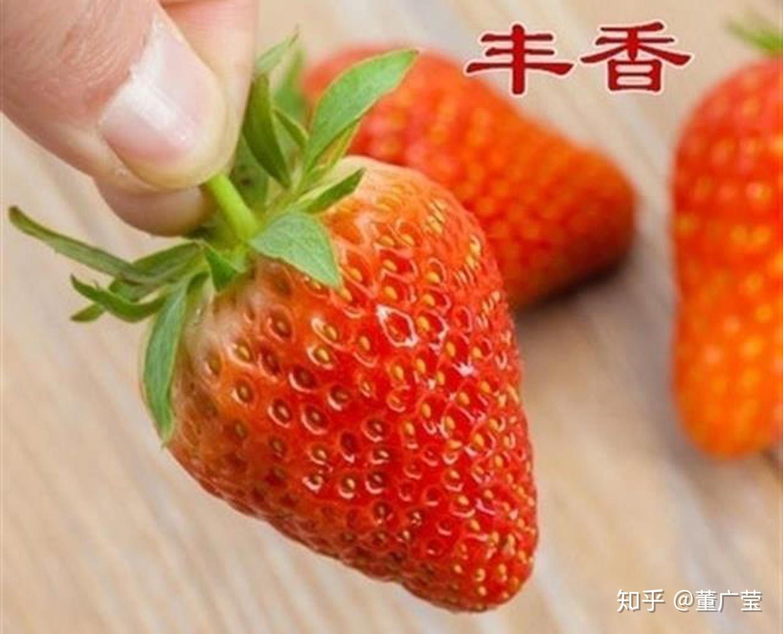 多吃草莓的好处草莓吃草莓图片素材-编号05443551-图行天下