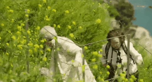 韩国电影《郊游》尺度炸裂,韩影又出猛片